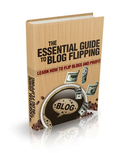 The Essential Guide to Blog Flipping