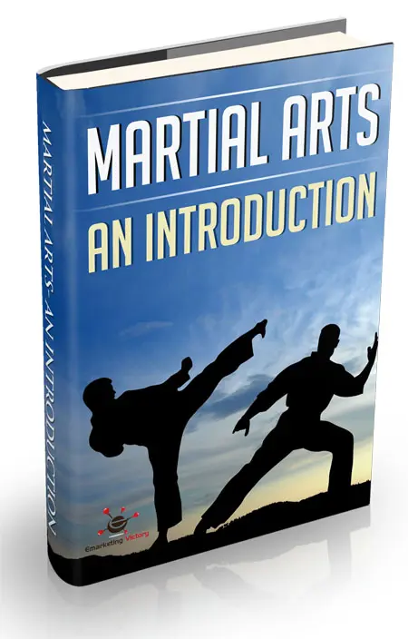 Martial Arts an Introduction – eBook