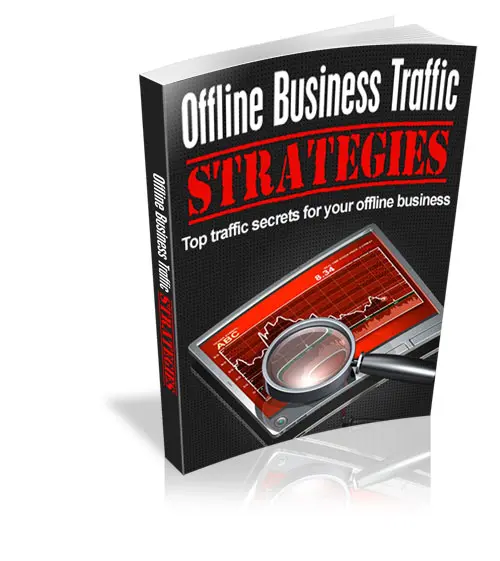 Business Traffic Strategies eBook