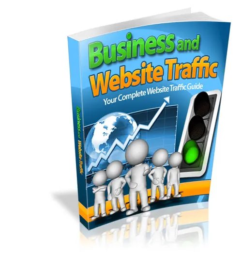 Business and Website Traffic – eBook