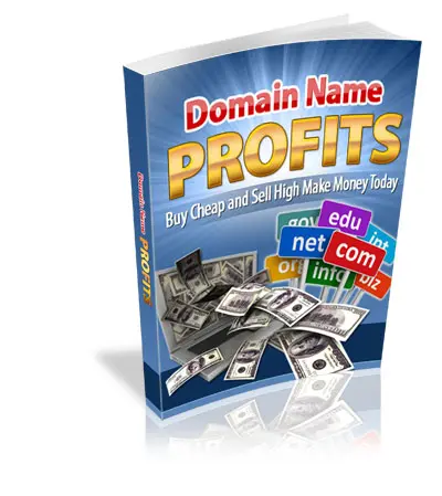 Domain Name Profits – eBook