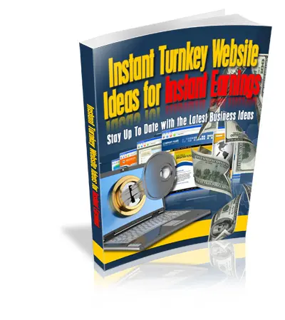 Instant Turnkey Website Ideas for Instant Earnings