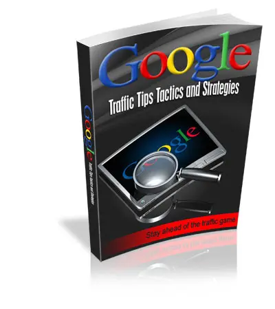 Google Traffic Tips Tactics and Strategies